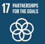 17 Partnerships For The Goals